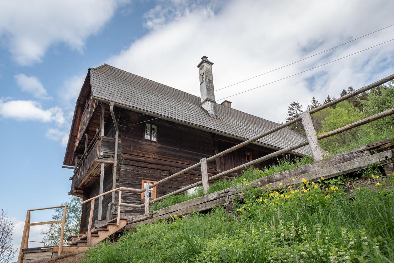 Villa Urlaub Auf Der Alm "Deluxe" Preggraben Esterno foto