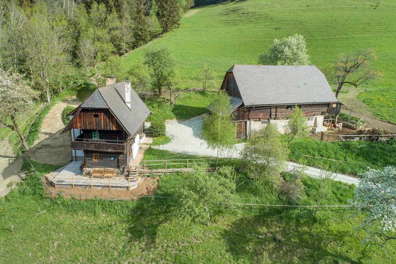 Villa Urlaub Auf Der Alm "Deluxe" Preggraben Esterno foto