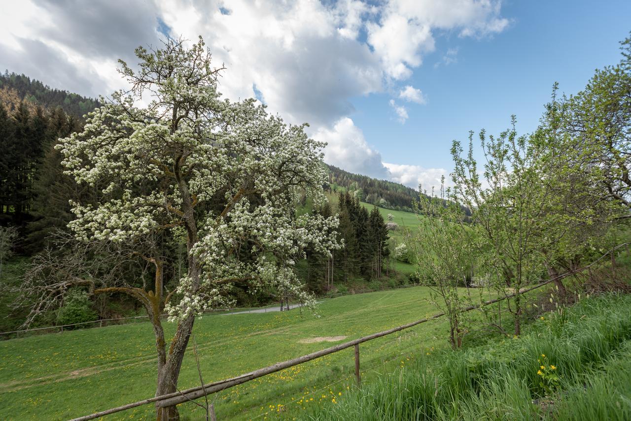 Villa Urlaub Auf Der Alm "Deluxe" Preggraben Esterno foto
