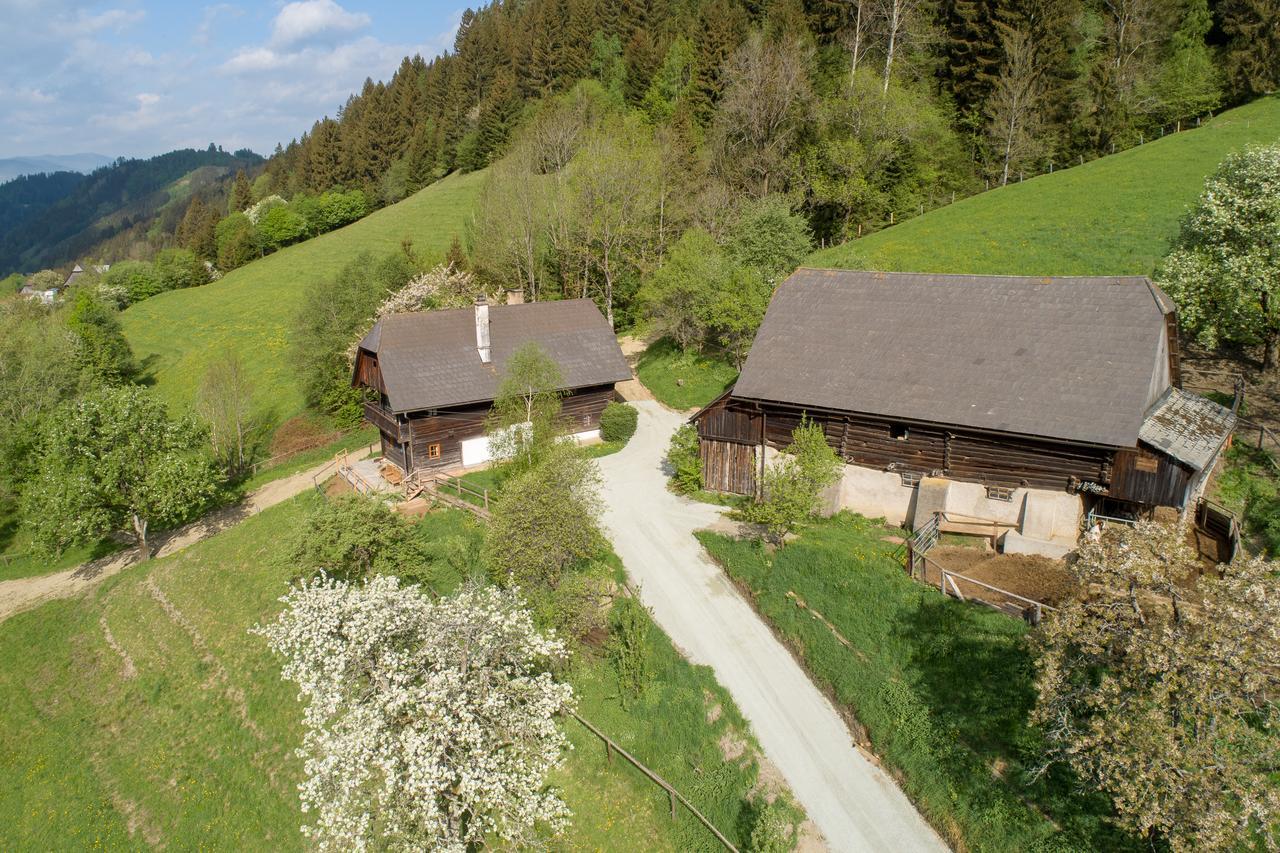 Villa Urlaub Auf Der Alm "Deluxe" Preggraben Esterno foto
