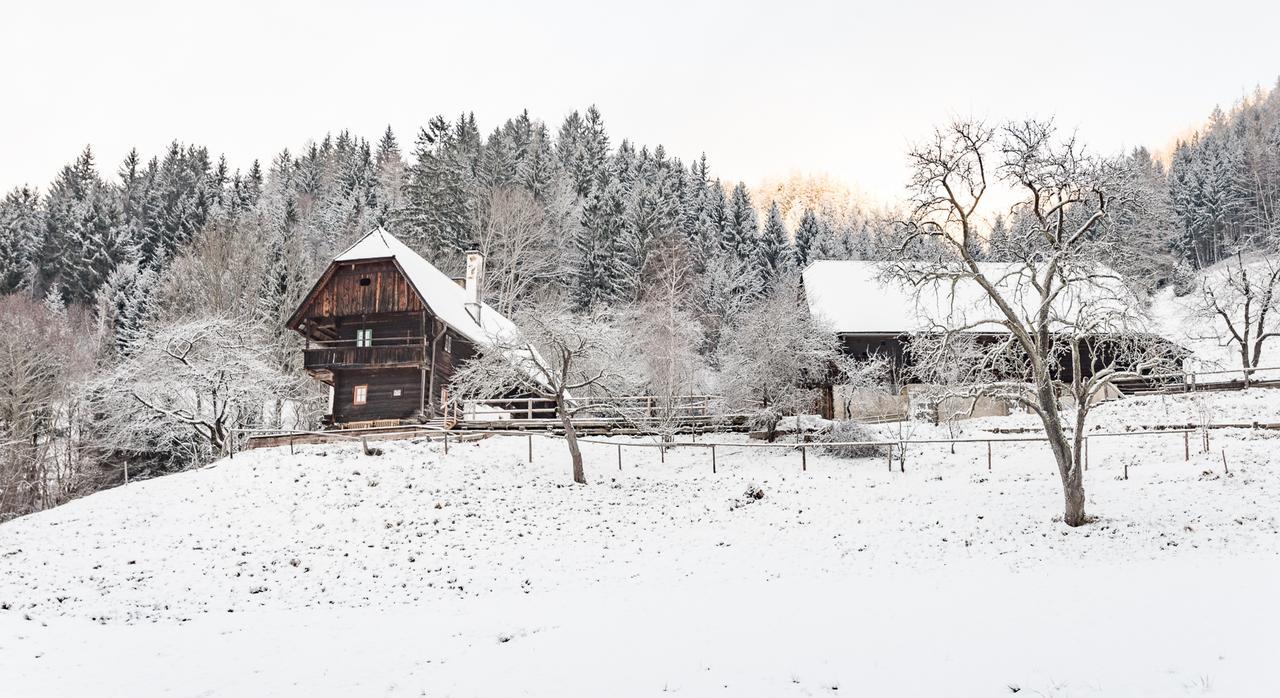 Villa Urlaub Auf Der Alm "Deluxe" Preggraben Esterno foto